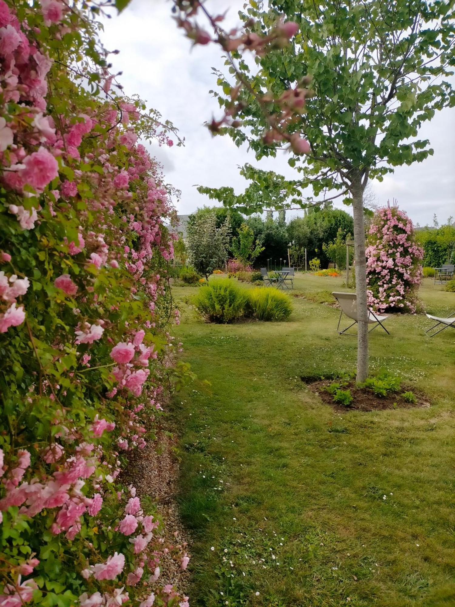 Bnb La Neo Bretonne Minihy-Treguier Экстерьер фото